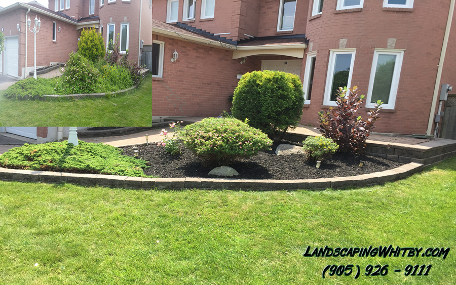 Front Garden Pruning Trimming and Clean-Up